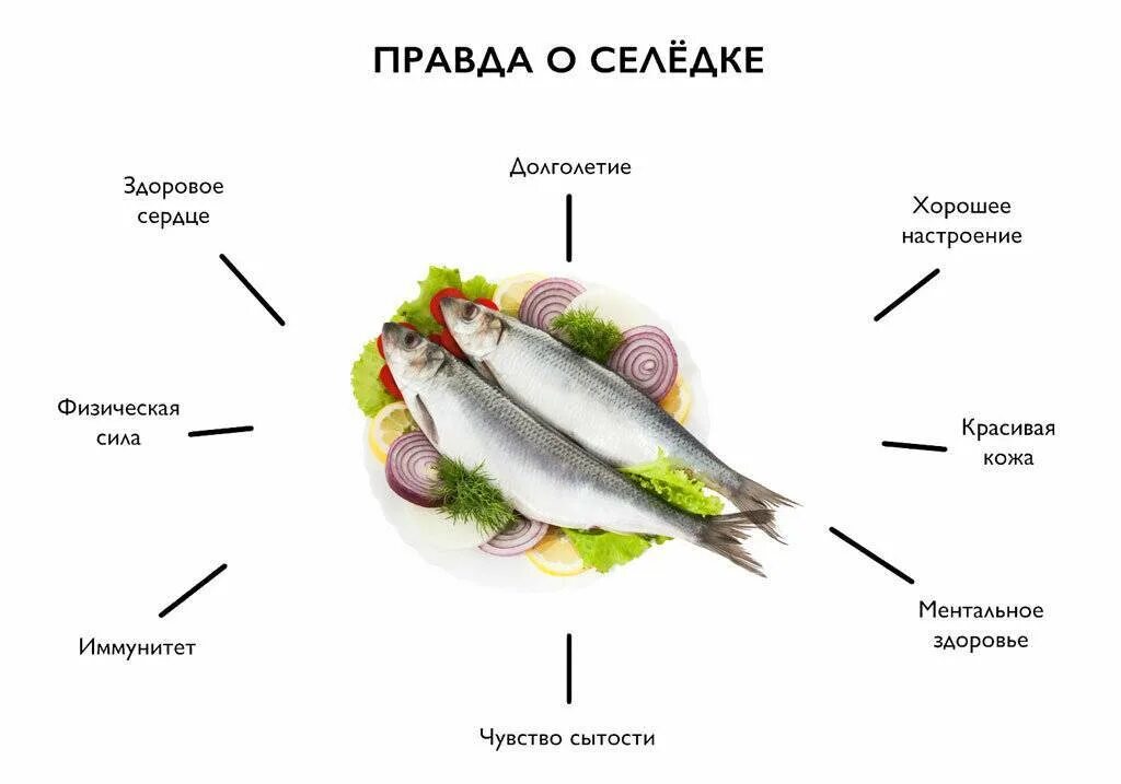 Сельдь сколько витамина д содержится. Что полезного в селедке. Чем полезна сельдь. Чем полнзнм сельд ь для организма.