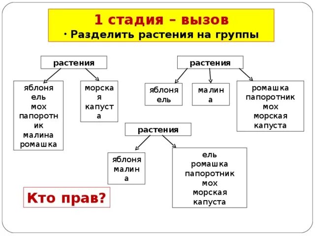 B деление на группы. Разделить растения на группы. На какие группы можно разделить растения. Разделить растения на группы 2 класс окружающий. Разделить растения на группы слайд.