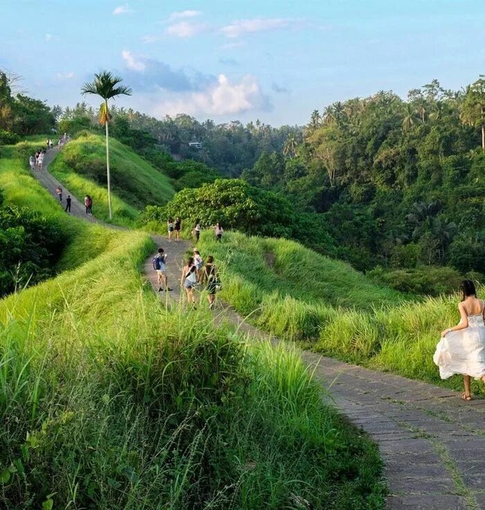 Campuhan Ridge walk Бали. Букит Бали фото. Художественный рынок в Убуде.