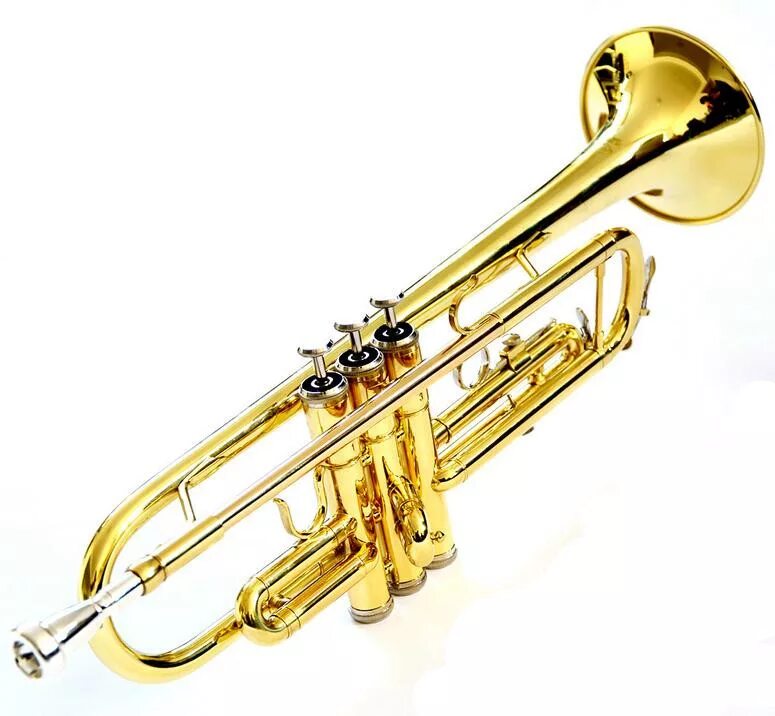 валторна духовой музыкальный инструмент детский. медно духовые инструменты саксофон. музыкант духового инструмента. туба инструмент духовой. труба оркестровая.