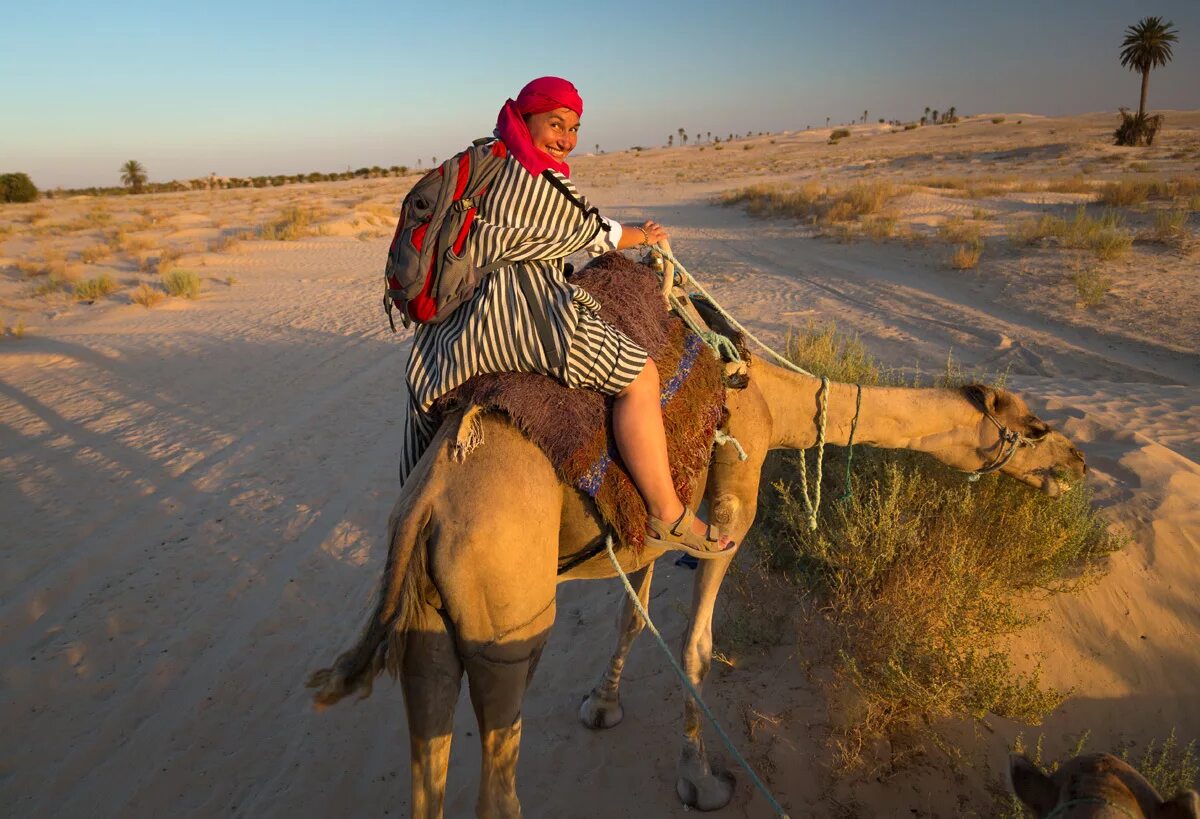 оседланный верблюд. верблюд в батайске. верхом на верблюде. человек верблюд видео. верблюд для детей.