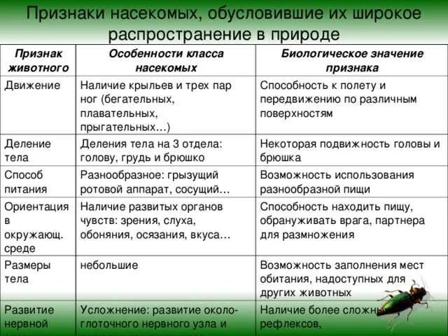 Для текста характерно широкое распространение. Характерные признаки насекомых таблица. Особенности строения насекомых. Признаки класса насекомые. Признаки и особенности класса насекомых.