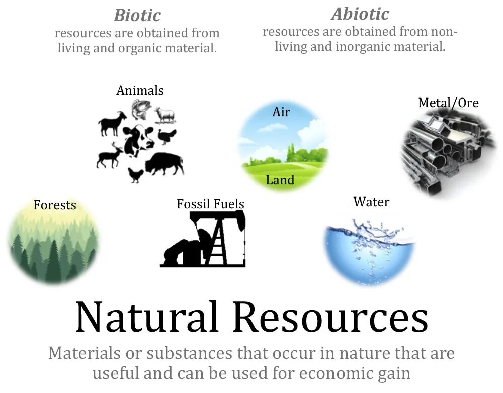 Many natural resources. Natural resources are. What is natural resource. Логотип Pioneer natural resources и природа. Biotic and abiotic resources picture.