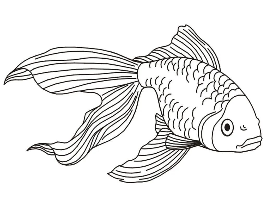 Раскраска рыбы для детей 7 лет. Рыба раскраска. Раскраска рыбка. Рыба раскраска для детей. Рыбка картинка раскраска.