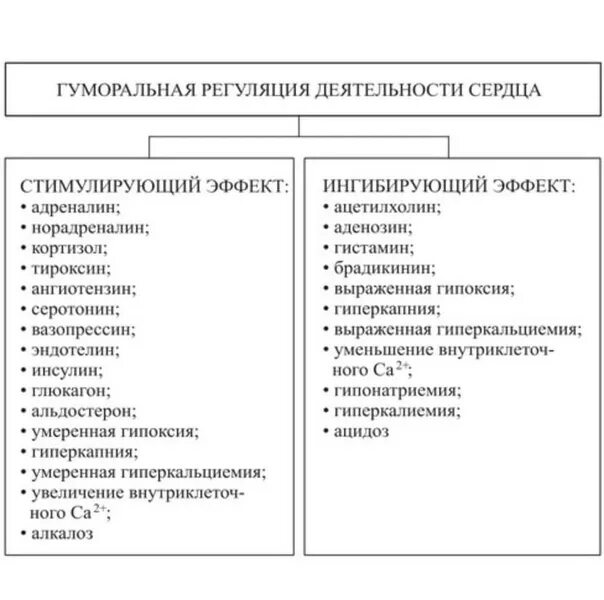 Гуморальная регуляция работы сердца осуществляется. Гуморальная регуляция деятельности сердца таблица. Гуморальные факторы регуляции деятельности сердца. Гуморалтная решулчция деятельности сердца. Гуморальные механизмы регуляции деятельности сердца.