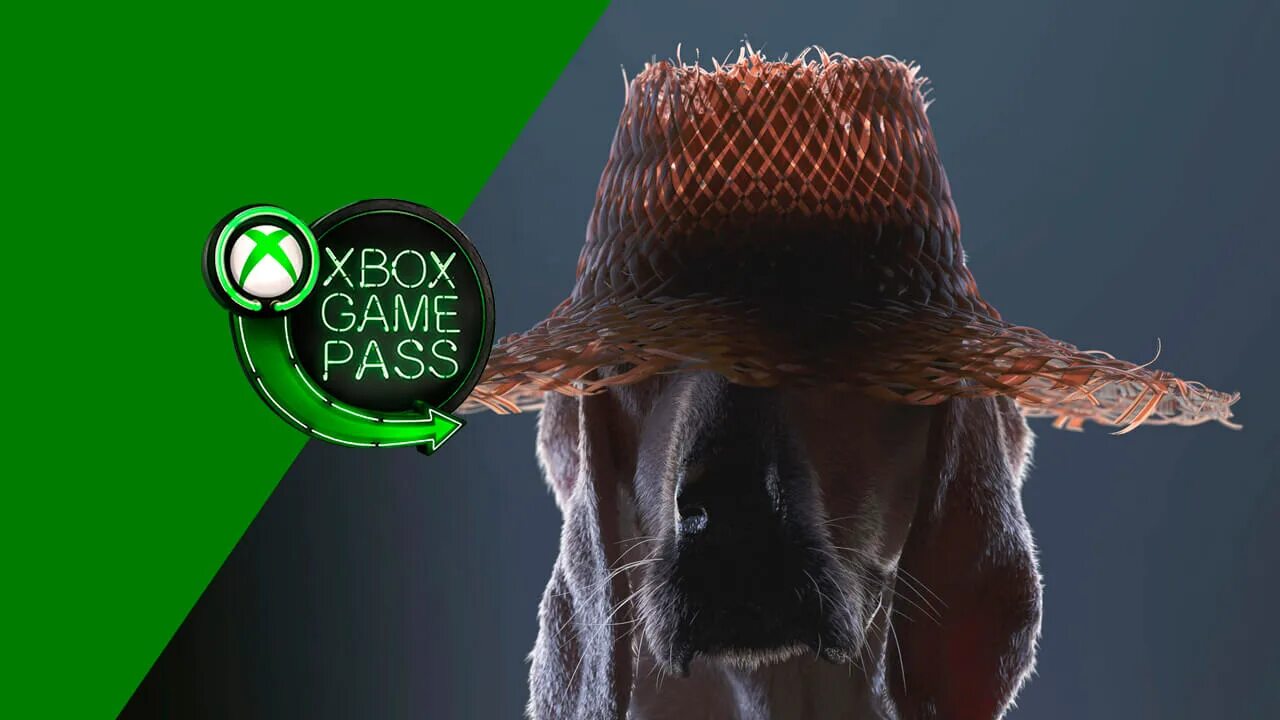 Подписка game pass 2025. Kentucky игра. xbox gamepass игры 2025. game pass игры 2025. кентукки роут зеро.