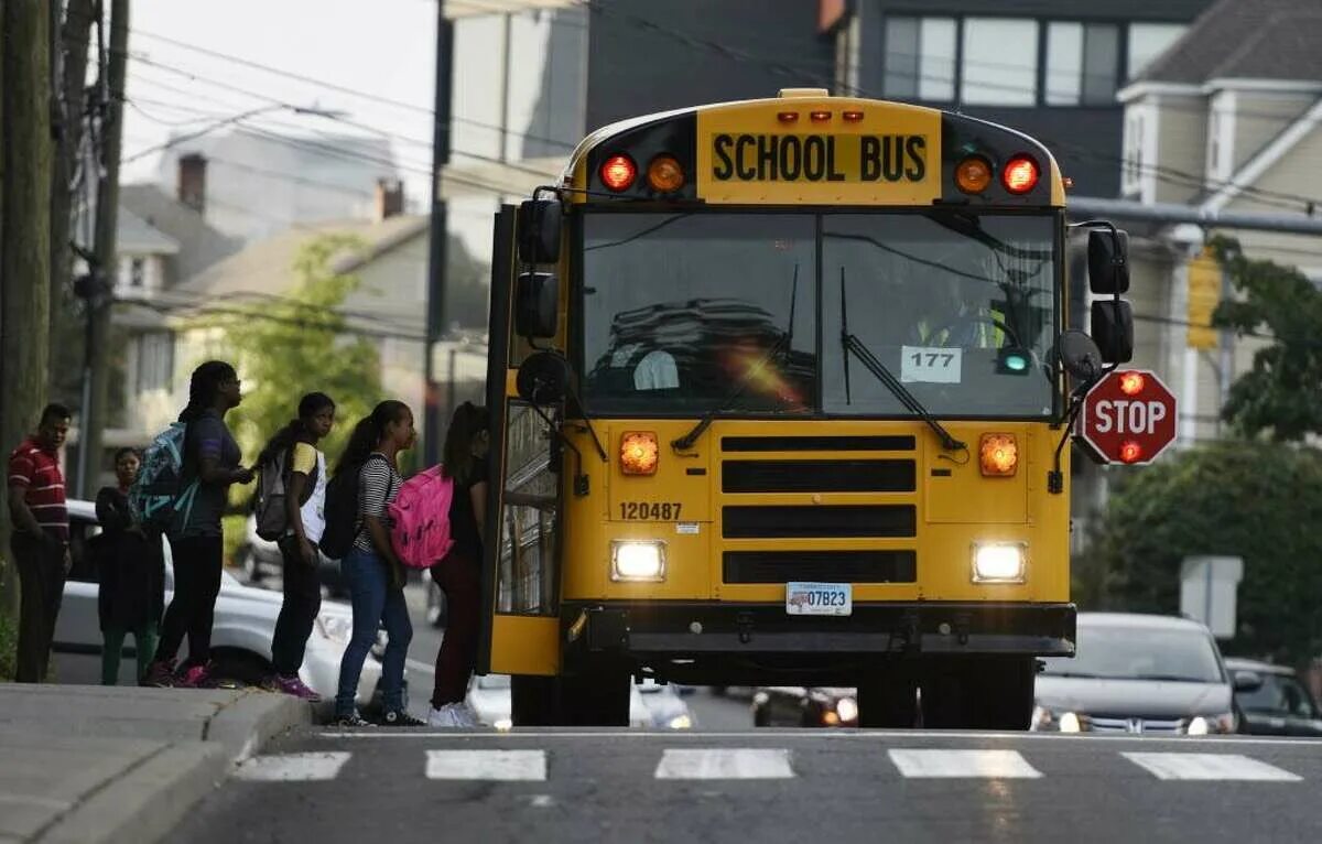 I get the bus