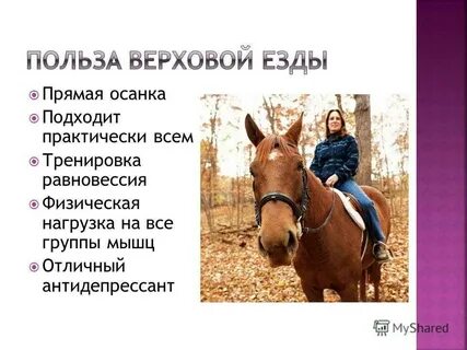 Польза лошади