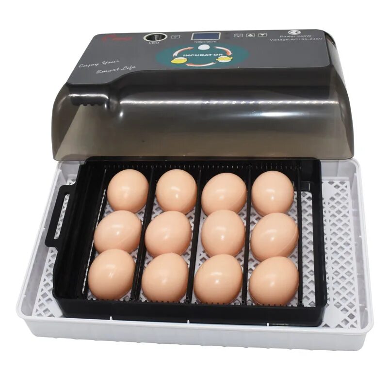 Автоматический инкубатор 12 яиц. Инкубатор на 30 яиц. Инкубатор тухум. Инкубатор для яиц перепелов. Инкубатор для перепелиных яиц автоматический.