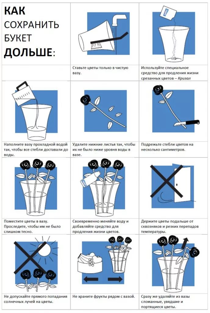 Как дольше сохранить срезанные розы в вазе. Памятка ухода за букетом. Инструкция по уходу за срезанными цветами. Памятка по уходу за букетом цветов. Памятка для срезанных цветов.