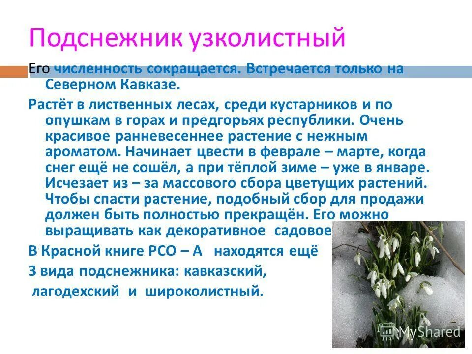 частица не пишется раздельно. правописание не с деепричастиями правило. орфограммы чередующихся гласных в корне. ранневесенний как пишется. типы ранневесенней растительности.