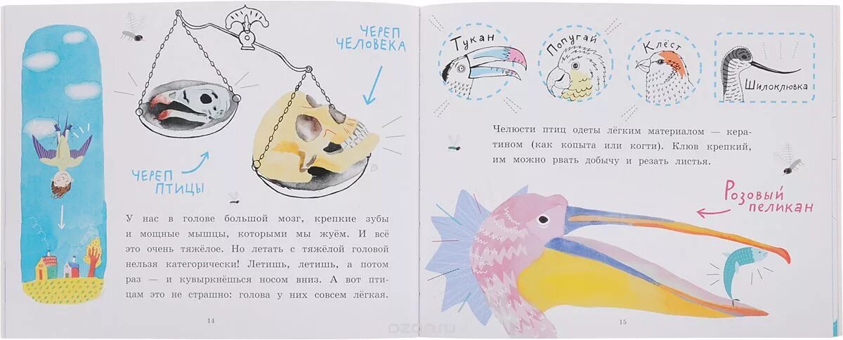 зачем птицы прерывают полет. почему птицы не падают книга. почему птицы не падают. почему птицы не падают колмановский. птица не упадёт книга.