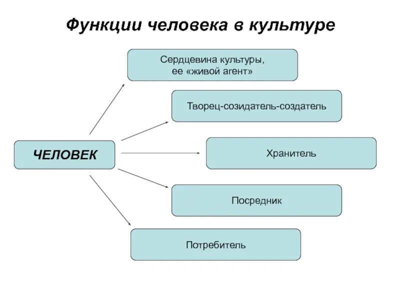 Основные функции личности. Функции человека. Функции человека в обществе. Функции человека в природе. Главные функции человека.