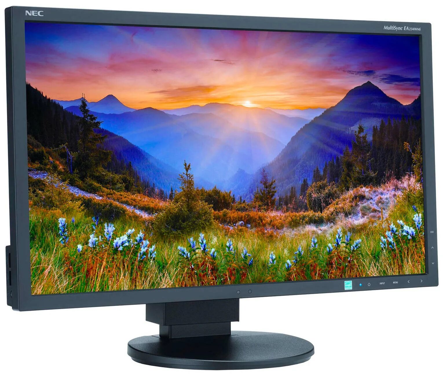 Экран компьютера. Монитор NEC ea234wmi. NEC MULTISYNC ea234wmi. Монитор NEC 23" ea234wmi Black. Монитор NEC MULTISYNC ea231wmi.