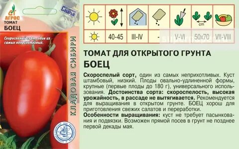 Томат боец характеристика и описание сорта фото
