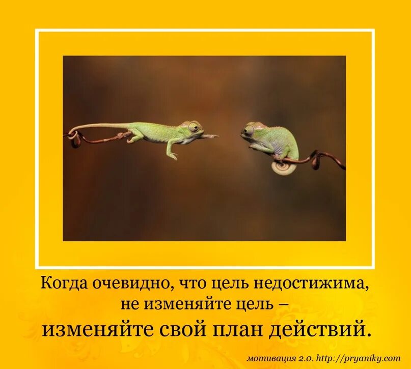 Недостижимая цель для знатока 9 букв. Мотивация на достижение цели. Смешные цитаты про мотивацию. Смешные фразы про цели. Смешные цитаты про цель.