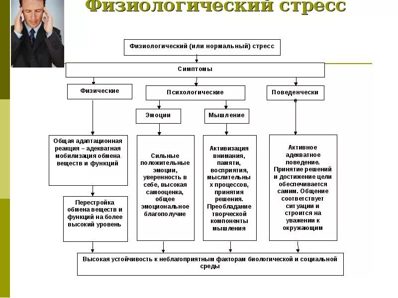 Физиологические проявления стресса схема. Факторы физиологического стресса. Факторы вызывающие физиологический стресс. Физиологические предпосылки стрессоустойчивости.