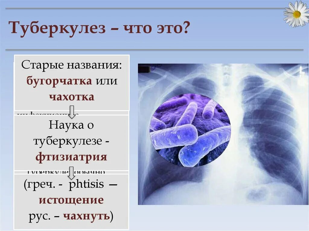 Туберкулез 5 класс. Туберкулёз презинтация. Туберкулез презентация. Презентация на тему туберкулез. Презентациятуберкулёза.