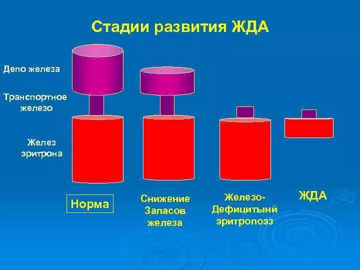 Стадии железодефицитной анемии. Схема развития железодефицитной анемии. этапы развития железодефицитных состояний. стадии формирования железодефицитной анемии. стадии развития жда.