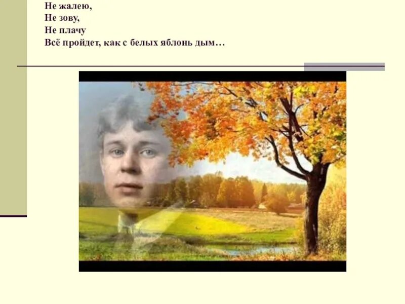 Как с белых яблонь дым есенин. Не жалею не зову не плачу есенин. ни жалею ни зову ни плачу. не жалею не зову не плач.