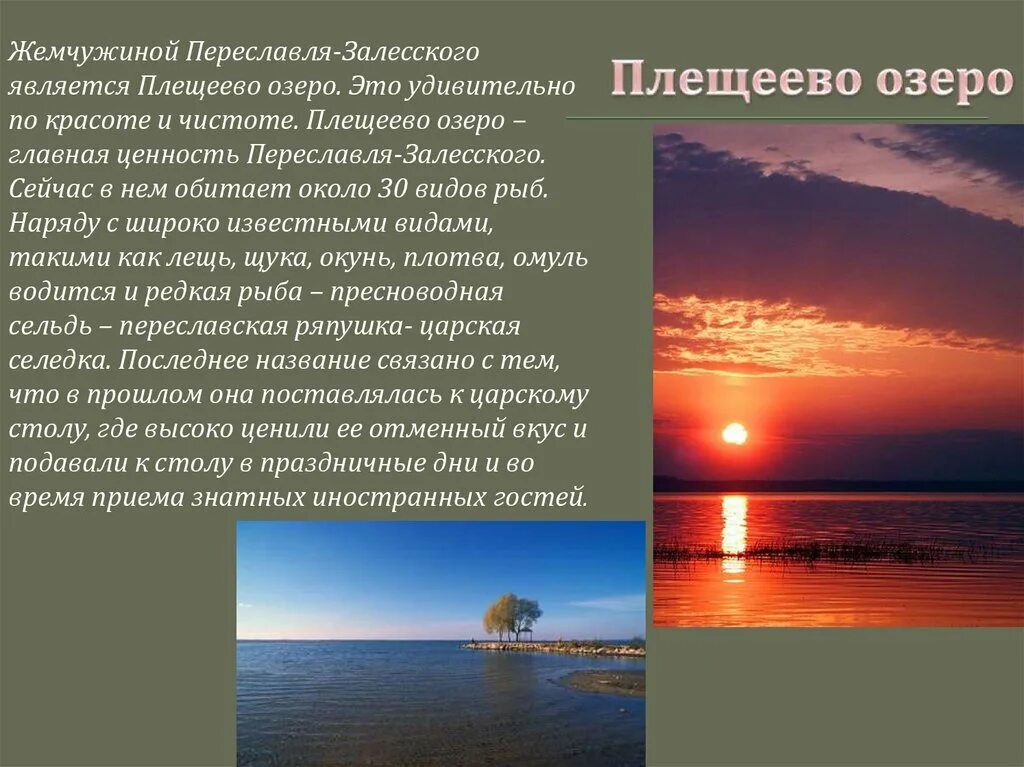 Переславль залесский интересные факты о городе. Плещеево озеро Переславль Залесский. Переславль-Залесский достопримечательности Плещеево озеро. Плещеево озеро национальный парк. Переславль Залесский озера Плещеева.