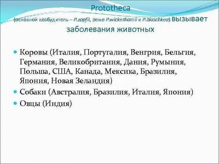 Основной возбудитель
