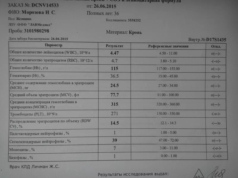 Размеры печени по узи норма