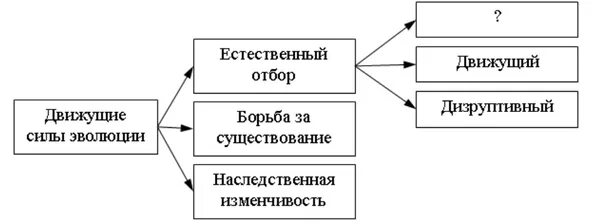 Классификация движущих сил. Схема классификации движущих сил эволюции. схема движущие силы и факторы эволюции. движущие силы эволюции схема. рассмотрите предложенную схему классификации движущих сил эволюции..