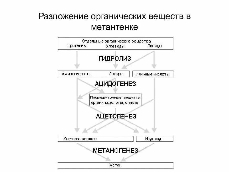 Температура разложение вещества. Процесс распада органических веществ. Процесс разложение органических веществ. Процесс разложение органических веществ. Химия разлагает органические вещества.