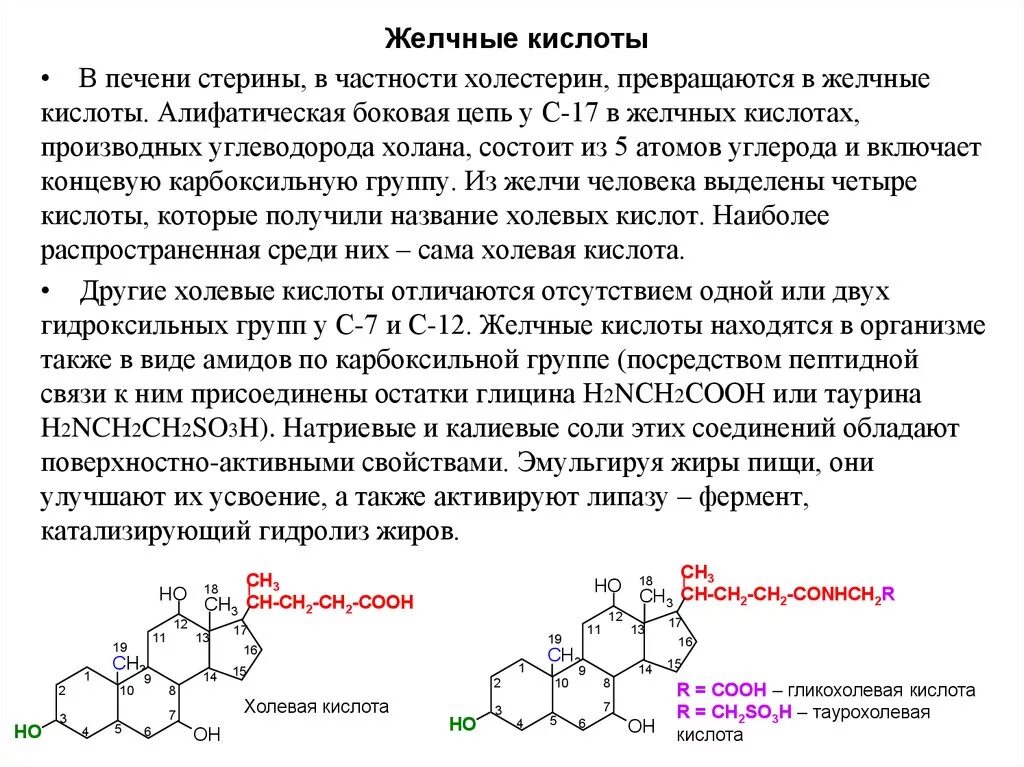 Желчные кислоты печени. Соли желчных кислот формула. Соли желчных кислот строение. Формулы желчных кислот биохимия. Строение желчных кислот биохимия.