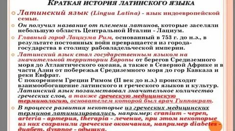 Основные вопросы истории языка