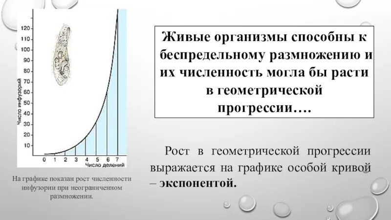 При чрезмерном увеличении численности плотности популяции. Размножение организмов в геометрической прогрессии. Потенциальные возможности размножения организмов. Геометрическая прогрессия график. Рост в прогрессии.