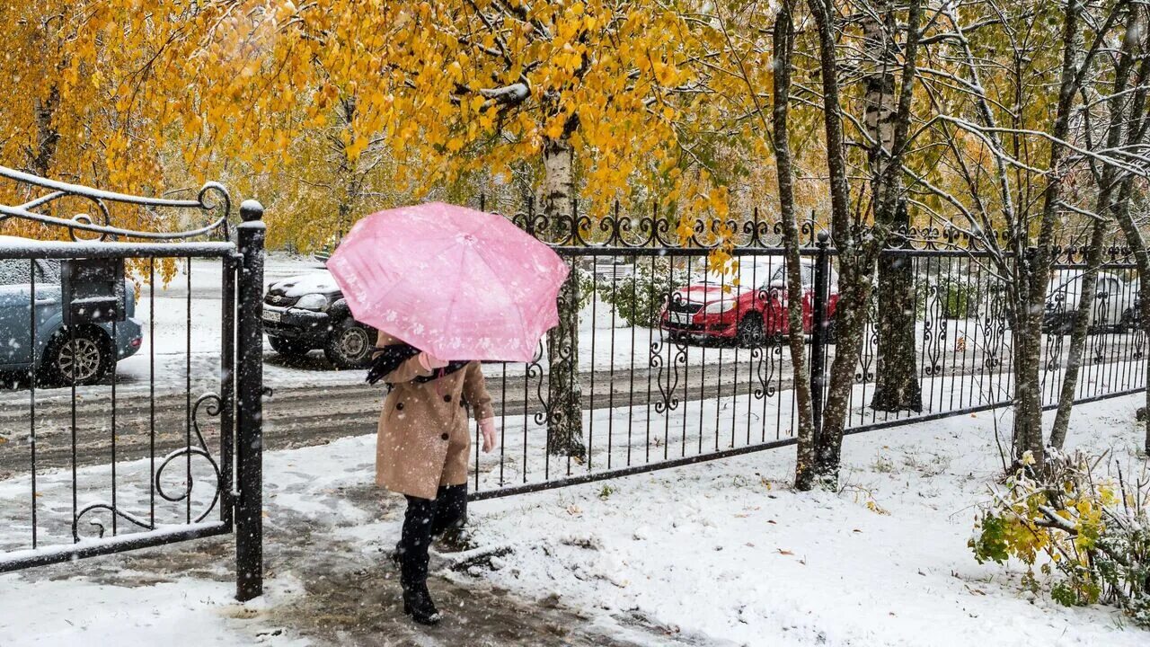 Толстого 1 снег. Первый снег в городе. Когда выпадает первый снег в Москве. В Москве выпал снег 2020. Когда в Москве выпадет снег в 2020.