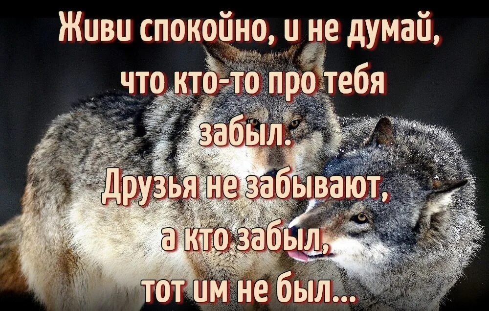 Дайте мне в седьмой раз пожить спокойно. Живи спокойно. Друзья забыли. Статус про друга который забыл. Жить спокойно.