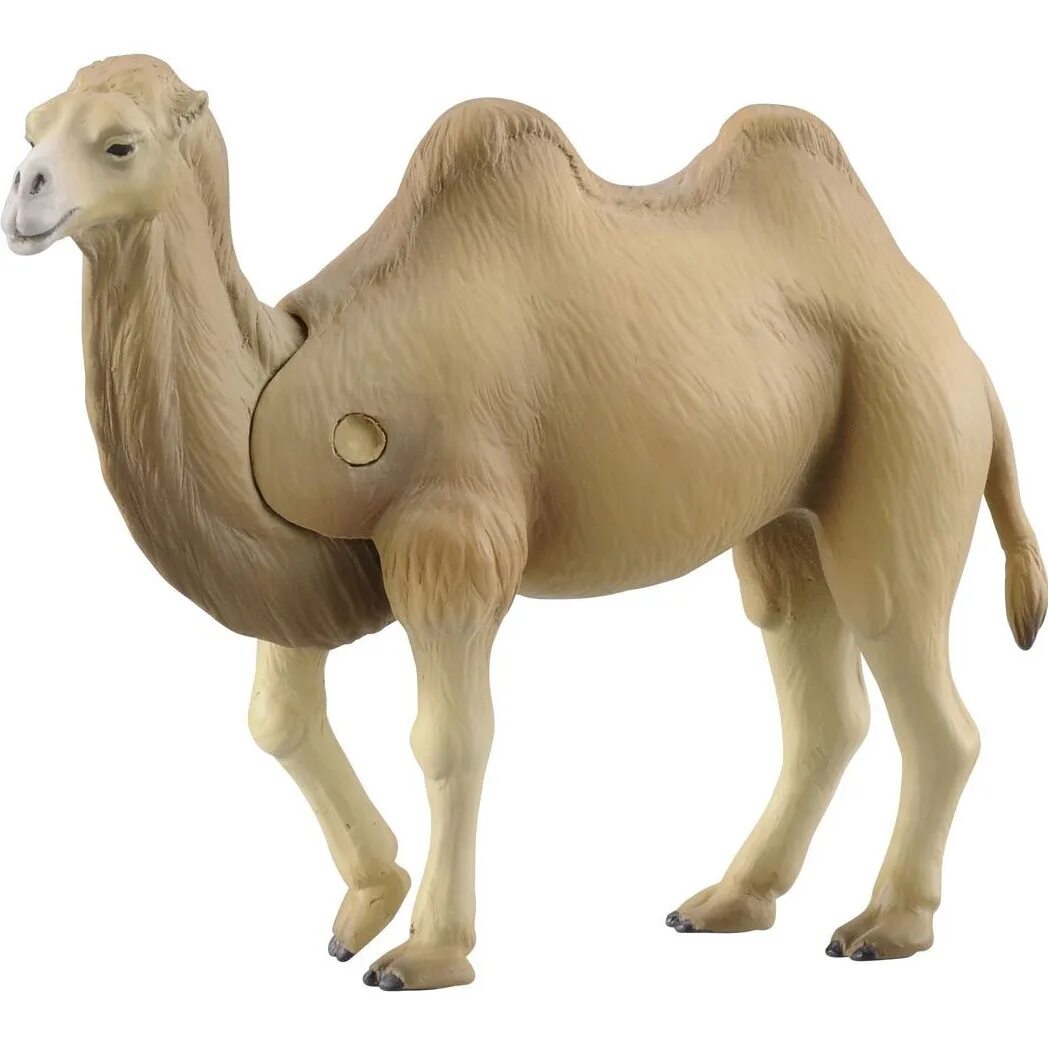 Camel toy green short. Мини верблюд. Верблюд фигурка игрушка. Верблюд игрушка реалистичная. Came toy.