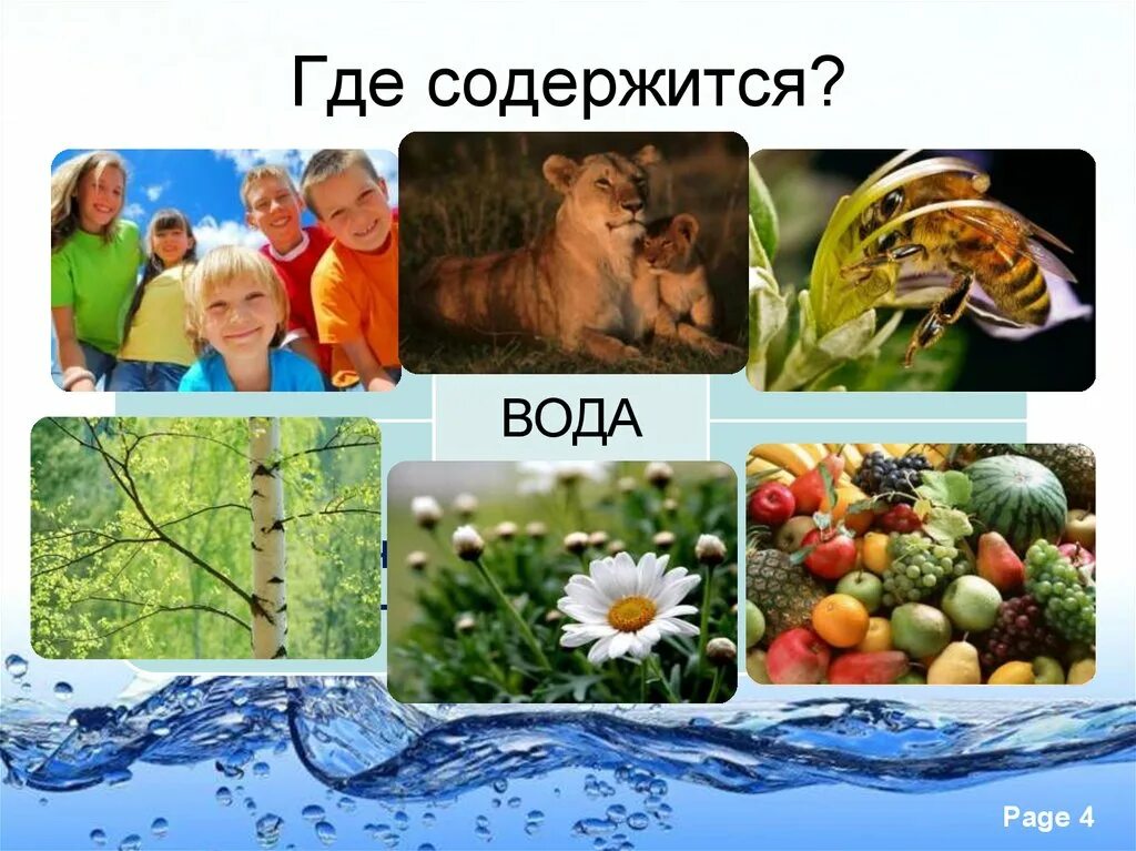 Много воды содержится в. Где содержится вода. Где в природе содержится вода. Где содержится вода на земле. Где содержится вода по биологии.