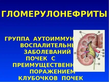 Патология почек