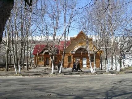 Корсак сахалин