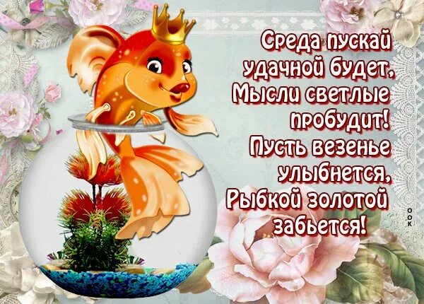 Со средой удачи. Добрые пожелания. Поздравляю со средой. Пожелания с добрым. С добрым утром среды.