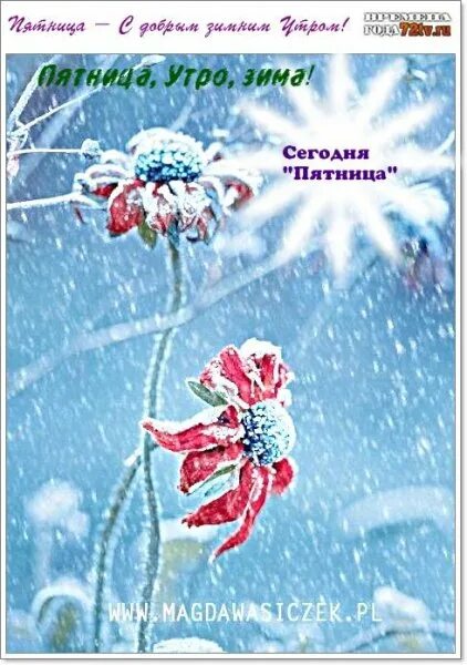 Открытки субботним зимним утром