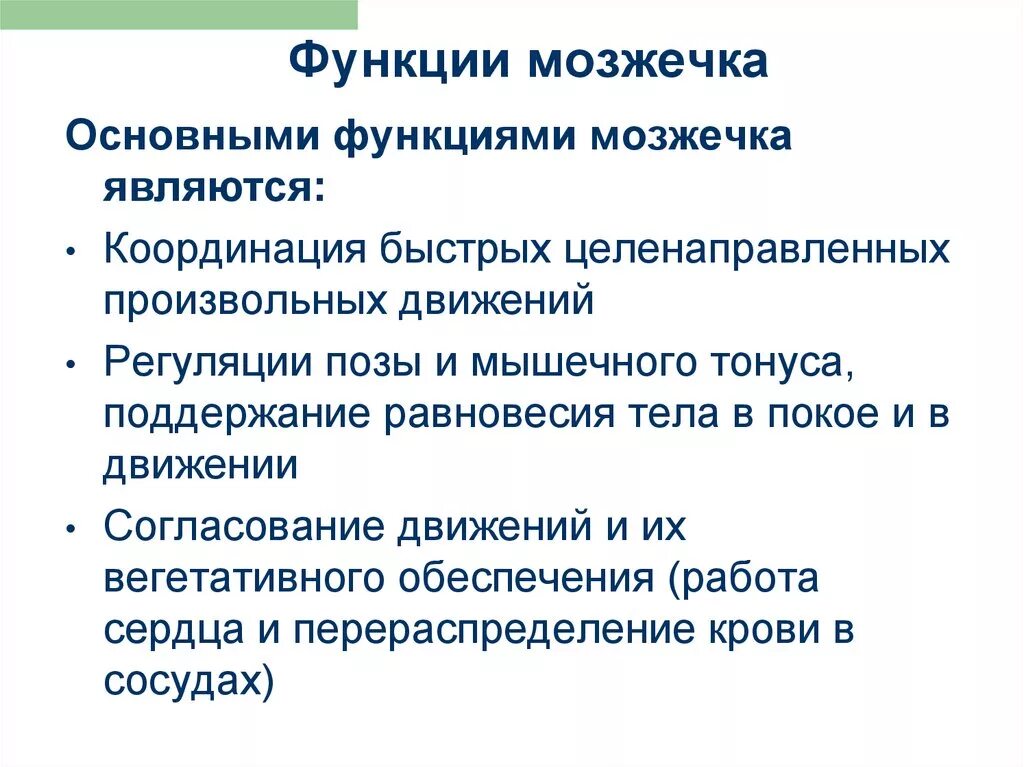 Строение, основные связи и функции мозжечка. Функциональное строение мозжечка физиология. Мозжечок функции кратко. Основная функция мозжечка.