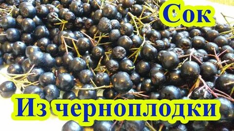 Сок черноплодной рябины на зиму в соковарке
