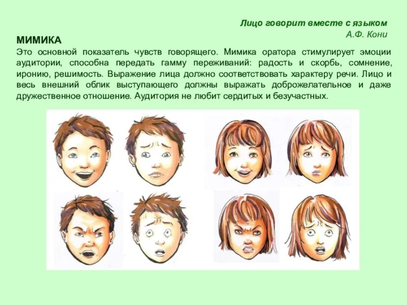Характеристика мимики