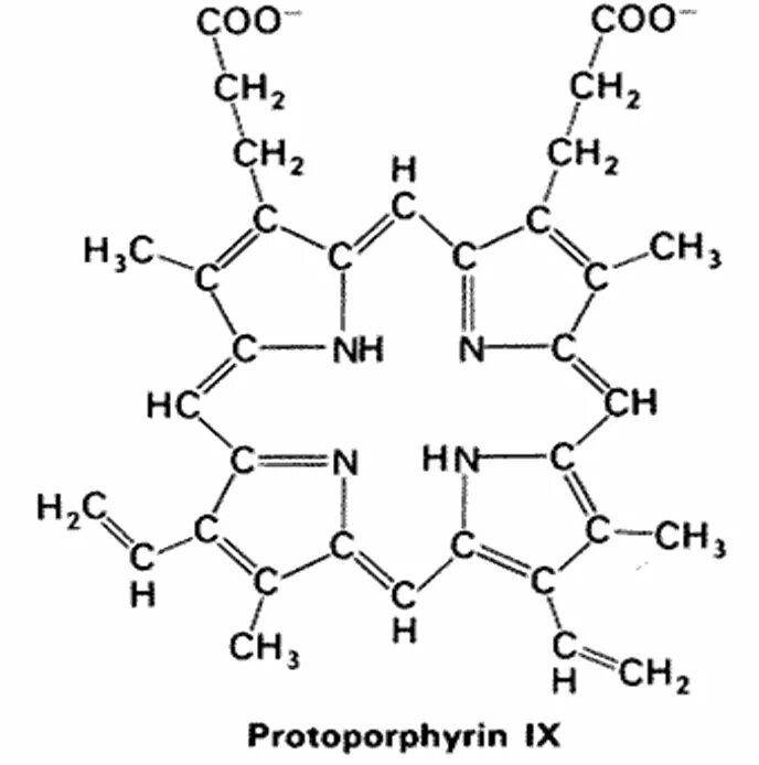 Протопорфирин IX. Гем протопорфирин IX. Строение протопорфирина IX. Строение гема (протопорфирин IX).