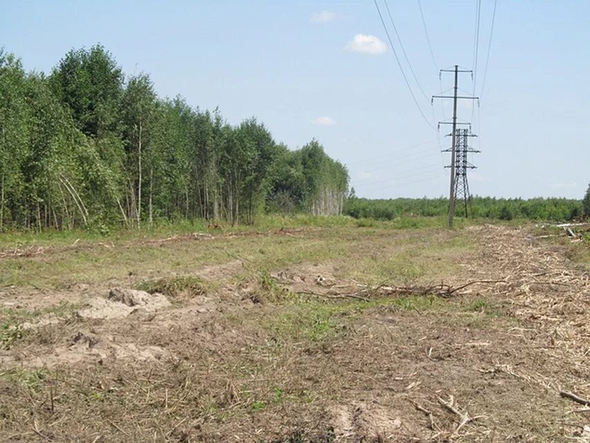 Лэп лесу 110 кв. Расчистка лэп от деревьев и кустарников. Расчистка лэп. Расчистка просеки под лэп. Расчистка вл от дкр.