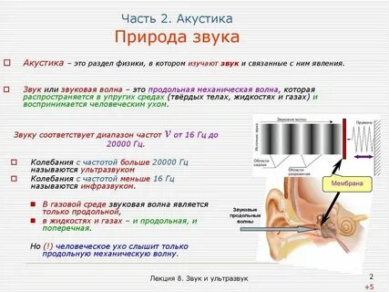 Звук определение и понятие