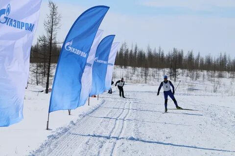 Дорога с флажками для горнолыжника 6 букв