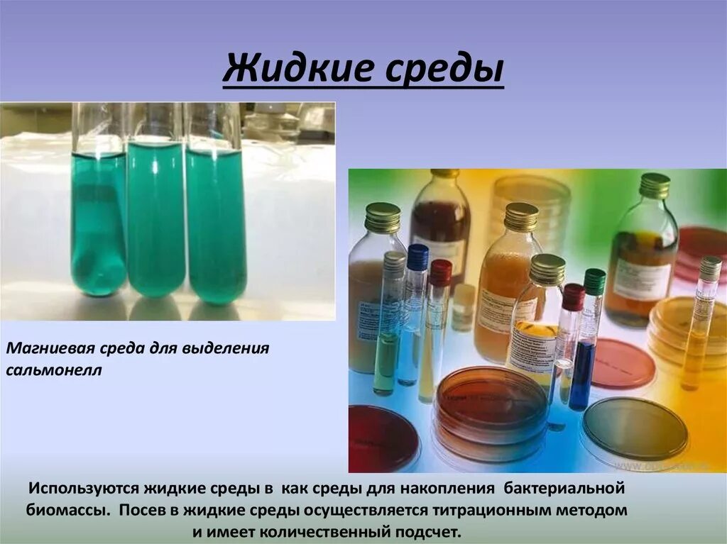 Жидкие питательные среды микробиология. Бактерии в жидкой питательной среде. Жидкая среда. Бактерии на жидких средах.