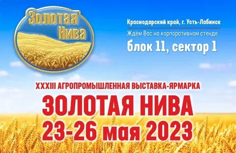 Золотая нива песня