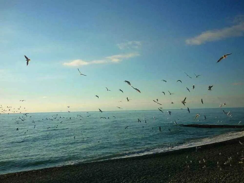 Дай море. День черного моря. international black sea day. международный день черного моря фото. черное море днем фото.